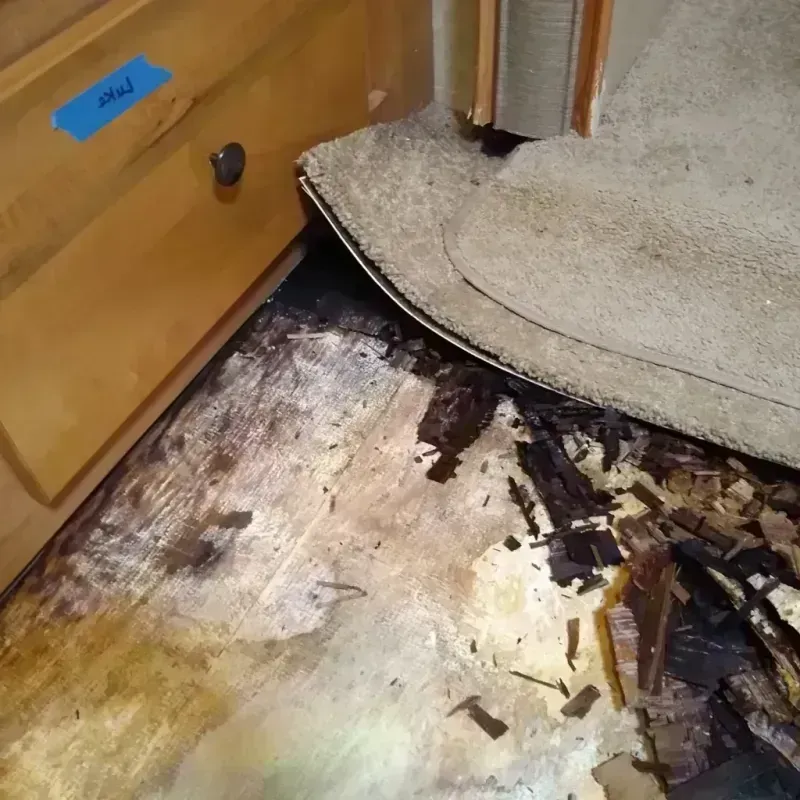 Best Wood Floor Water Damage Service in Stokesdale, NC